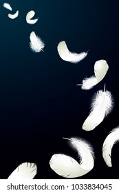 Realistic 3d detailed white swan pigeon feathers fluff black blue background. Vector illustration. Falling feathers abstract light composition air wind flight design element