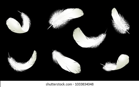 Realistic 3d detailed white swan pigeon feathers fluff set collection black blue background. Vector illustration. Falling feathers abstract light composition air wind flight design element