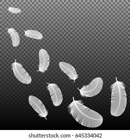 Realistic 3d detailed white swan feathers on a transparent background. Vector illustration. Falling feathers abstract light composition