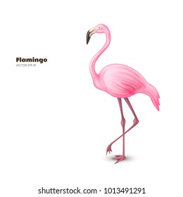 Realistic 3d flamingo. Pink vector tropical exotic bird standing. Holiday travel vacation beach pool party elegant element. Isolated summer paradise poster design illustration, white background