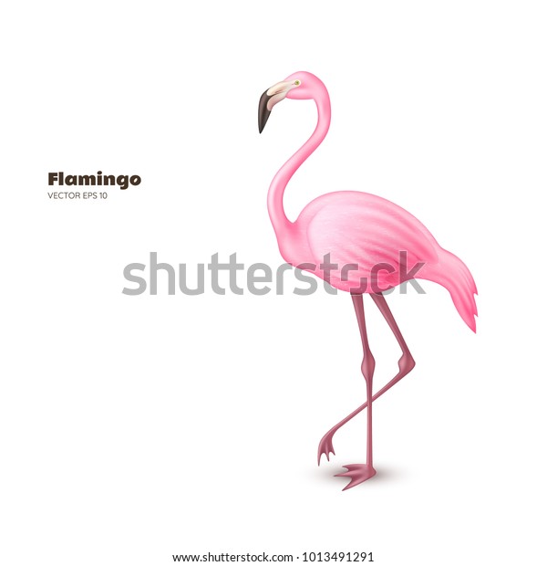 リアルな3dフラミンゴ ピンクのベクター画像の熱帯のエキゾチックな鳥が立つ ホリデー旅行休暇のビーチプールパーティーのエレガントなエレメント 白い背景に夏のパラダイスのポスターデザインイラスト のベクター画像素材 ロイヤリティ フリー