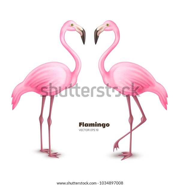 リアルな3dフラミンゴ ピンクのベクター画像の熱帯のエキゾチックな鳥立ちセット ホリデー旅行休暇のビーチプールパーティーのエレガントなエレメント 白い背景に夏のパラダイスのポスターデザインイラスト のベクター画像素材 ロイヤリティ フリー