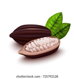 Realistic 3d Fresh Raw Cocoa Beans Set with Leaves Plant Ingredient Chocolate Product for Store Design Vector illustration of Cocoa Bean