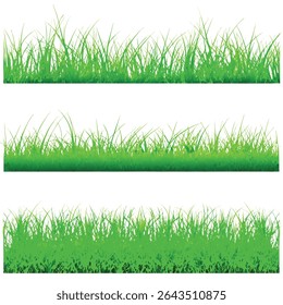 Realista 3D Grass Borders Set Vector