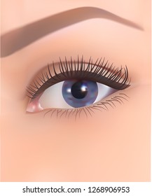 realistic 3D human eye with long eyelashes and with blue iris gradient, vector illustration