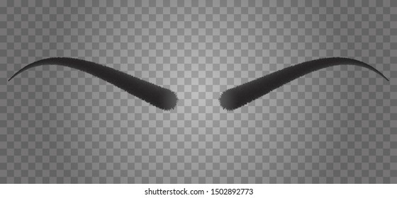 Realistic 3d human eyebrows form isolated on transparent background. Vector fashion illustration.