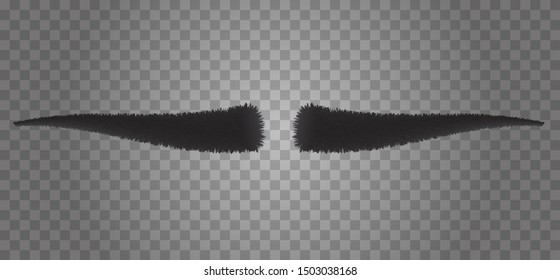 Realistic 3d human eyebrows form isolated on transparent background. Vector fashion illustration.