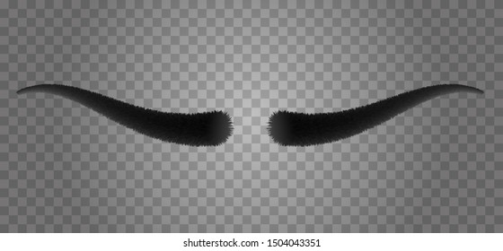 Realistic 3d human eyebrows form isolated on transparent background. Vector fashion illustration.