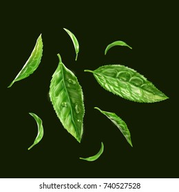 a realistic 3d illustration of a floating tea leaf, fresh organic green tea leaves with water drops, isolated on dark green.