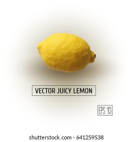 Realistic 3d illustration of a ripe lemon. Vector lemon isolated on white background with shade.