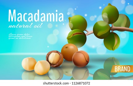 Realistic 3d macadamia nut oil cosmetic shell ad template. Branch leaves nutshell. Light summer sky sunny beauty care. Promotional detailed poster template reflection defocused vector illustration