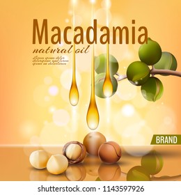 Realistic 3d macadamia nut oil cosmetic shell ad template. Branch leaves nutshell. Light golden sunny beauty care. Promotional detailed poster template reflection defocused vector illustration