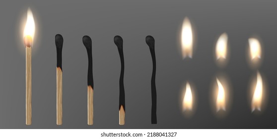 Realistic 3d Match Stick And Different Flame Icon Set, Closeup Isolated On Transparent Background. Whole And Burnt Matchstick. Stages Of Burning The Match. Vector Illustration.