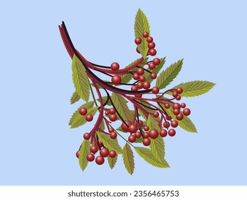 Realistic 3d mesh rowan branch isolated on a transparent background. Rowan branch with orange leaves and ashberry. Vector illustration