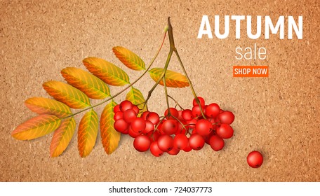 Realistic 3d mesh rowan branchon on a crafting paper. Rowan branch with orange leaves and ashberry. Vector illustration