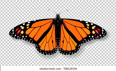 Realistic 3d Monarch butterfly. Colorful bright detailed mesh vector illustration with shadow on transparent background. Spring summer banner decoration