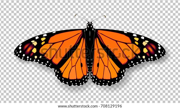 リアルな3dモナーク蝶 透明な背景にカラフルで明るい詳細なメッシュベクターイラスト 春の夏のバナーの飾り のベクター画像素材 ロイヤリティフリー