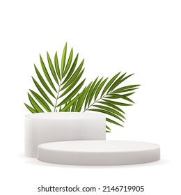 Realistic 3d  pedestals with palm leaves boxes. Copy space vector illustration
