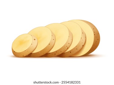 Realistic 3d raw sliced potato vegetable features a crisp texture and pale, creamy color, ready for cooking salads, fries, gratins and roasts. Isolated vector natural starchy food, culinary ingredient