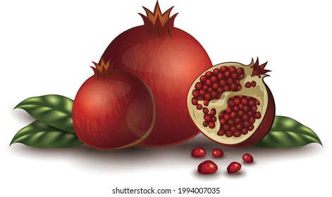 Realistic 3d render pomegranate with leaf and seeds red pomegranate set with transparent background pomegranates sliced, best for health care products and kids book vector illustration