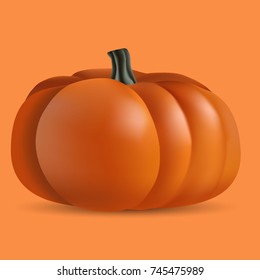realistic 3D ripe orange pumpkin on an orange background made with a gradient mesh