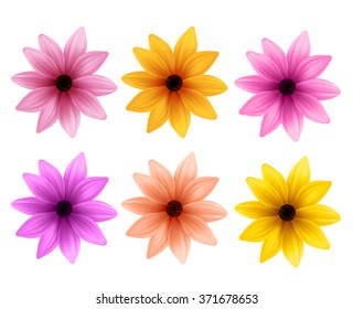 Realistic 3D Set of Colorful Daisy Flowers for Spring Season Isolated in White Background. Vector Illustration 