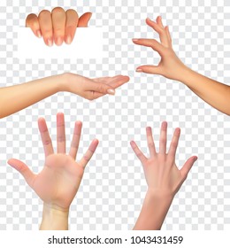 Realistic 3D Silhouette Of  Hand On White Background. Vector Illustration. EPS10