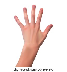 Realistic 3D Silhouette of an open hand on White Background. Vector Illustration. EPS10