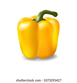  Realistic 3D sweet yellow pepper with stem isolated on white background. Vector EPS10.