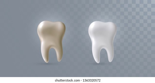 Realistic 3d teeth isolated on transparent background. Vector dentistry illustration. Medical or healthcare concept. Whitening treatment. Before and after ads template