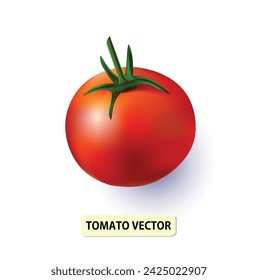 Realistic 3d Tomato Vector illustration.