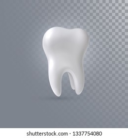 Realistic 3d tooth isolated on transparent background. Vector dentistry illustration. Medical or healthcare concept