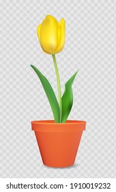 Tulipán 3d realista en maceta de flores. elemento de diseño. Ilustración vectorial