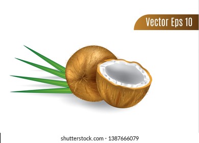 realistic 3d vector brown coconut with isolated white background