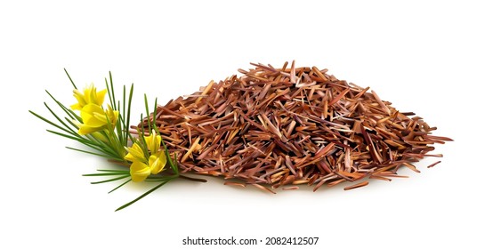 Realistic 3d vector illustration of dry rooibos tea. Pile of tea isolated on white. Rooibos branch in blossom. Herbal roibos tea. Red bush caffeine free Aspalathus heap of herbal infusions growth