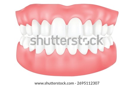 Realistic 3D vector illustration of healthy human teeth and gums. Shows aligned white teeth, symbolizing a perfect smile and oral hygiene. For dentists and dental clinic advertising.