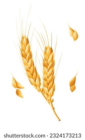 Realistic 3D vector illustration of a ripe ear of wheat, perfect for agricultural and farming designs. Isolated on a white background. A natural ingredient for healthy food and bakery products, gluten