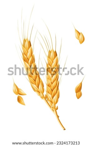 Realistic 3D vector illustration of a ripe ear of wheat, perfect for agricultural and farming designs. Isolated on a white background. A natural ingredient for healthy food and bakery products, gluten