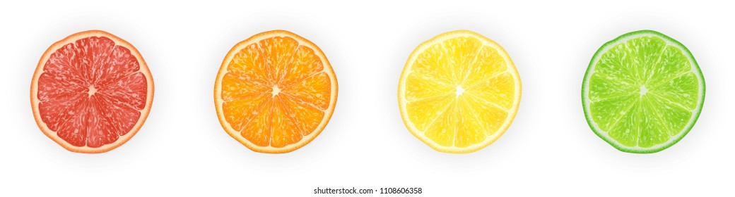 Realistic 3d Vector Illustration Set of sliced  orange, grapefruit, lemon, and lime.  Colourful citrus background. EPS 10.