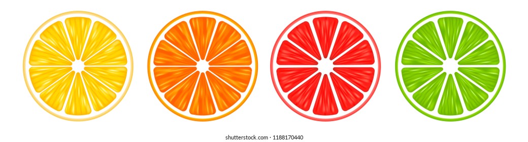 Realistic 3d Vector Illustration Set of sliced orange, grapefruit, lemon, and lime. Colourful citrus background. EPS 10.