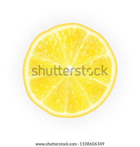 Realistic 3d Vector Illustration of sliced yellow lemon fruit. Colourful citrus. Good for packaging design and ad. EPS 10.  