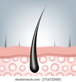 Ilustración vectorial realista en 3D de una hebra de cabello negro fuerte y cuero cabelludo saludable. Concepto para la prevención de la pérdida del cabello, la publicidad del champú, el cuidado del cuero cabelludo y la presentación de productos de belleza.