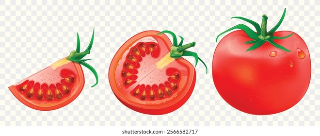 Realistic 3D vector tomato set isolated on transparent background. Whole, sliced quarter, and halved tomatoes for design template and clipart.
