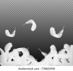 透明な背景にリアルな3d白い鳥が羽 を巻いて落ちる 明るさ 無垢さ 希望 天の象徴 ポスター カード 広告の背景にベクターイラストを使用できます のベクター画像素材 ロイヤリティフリー