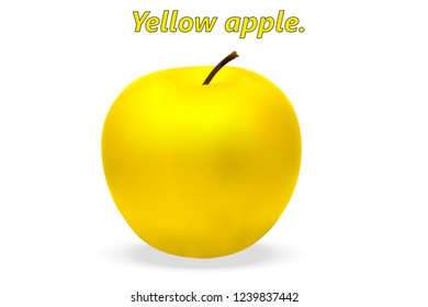Realistic 3d yellow apple with realistic shadows on white background. Vector illustration.