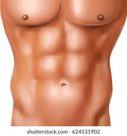 Realistic abs pack of naked man with athletic shaped body on white background vector illustration