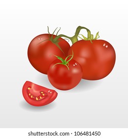 Realistic abstract modern nature vector Tomato background