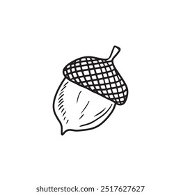 Realistic acorn drawing with cap in black isolated on white background. Hand drawn vector sketch illustration in doodle engraved vintage line art style. Autumn symbol, floral, oak tree