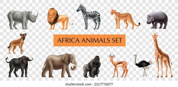 Realistic africa animals set on transparent background with isolated icons of wild tropical beasts and mammals vector illustration