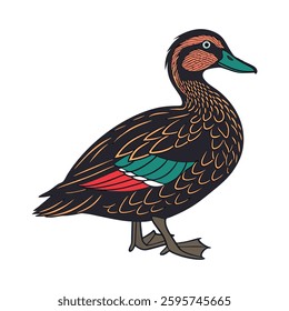 Realistic African Black Duck Illustration. Concept of Bird Design.
